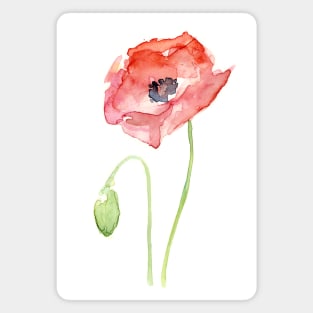 Red Poppy Watercolor Magnet